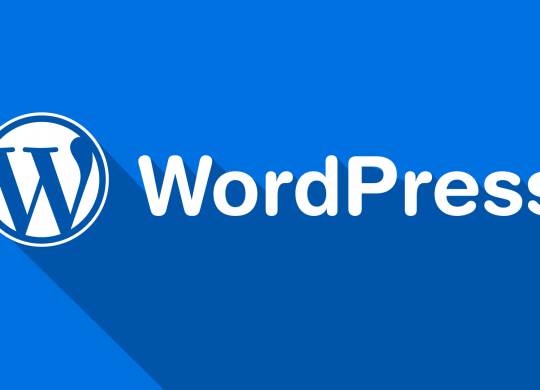 WordPress Websites For Your Internet Marketing Success