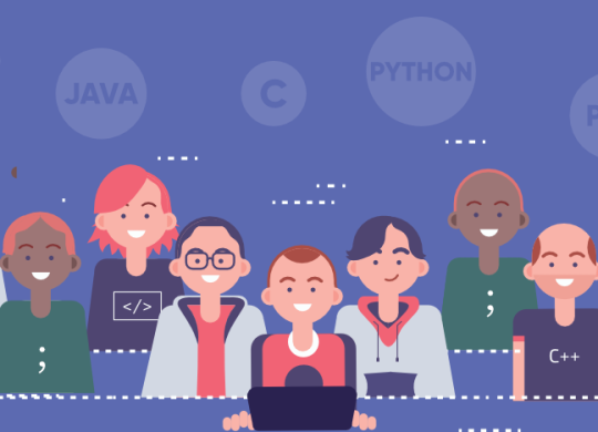 Top 5 Programmers in Delhi NCR